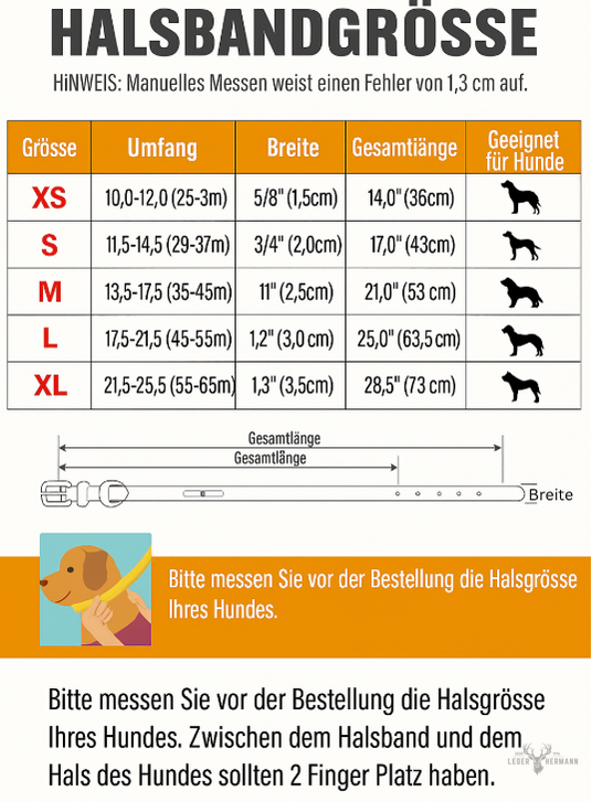 Hunde Halsband aus Rindsleder mit Gravurplatte