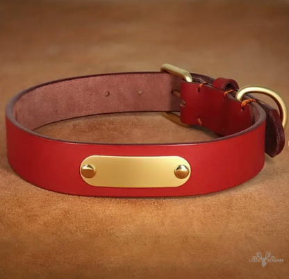 Hunde Halsband aus Rindsleder mit Gravurplatte