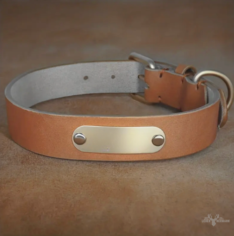 Hunde Halsband aus Rindsleder mit Gravurplatte