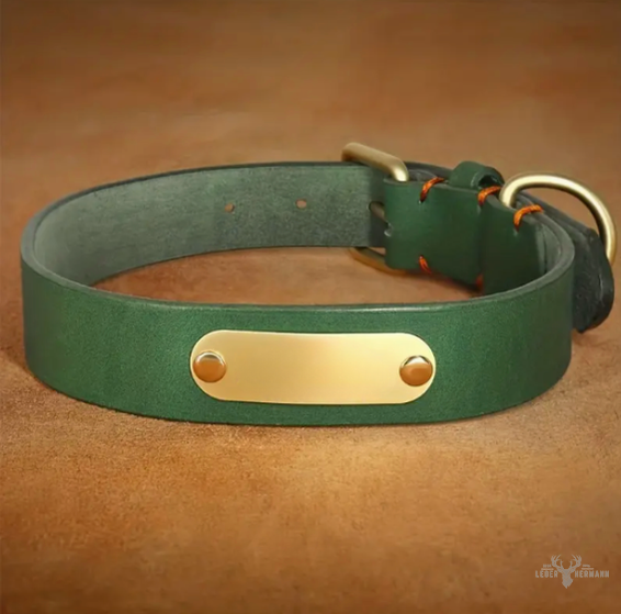 Hunde Halsband aus Rindsleder mit Gravurplatte